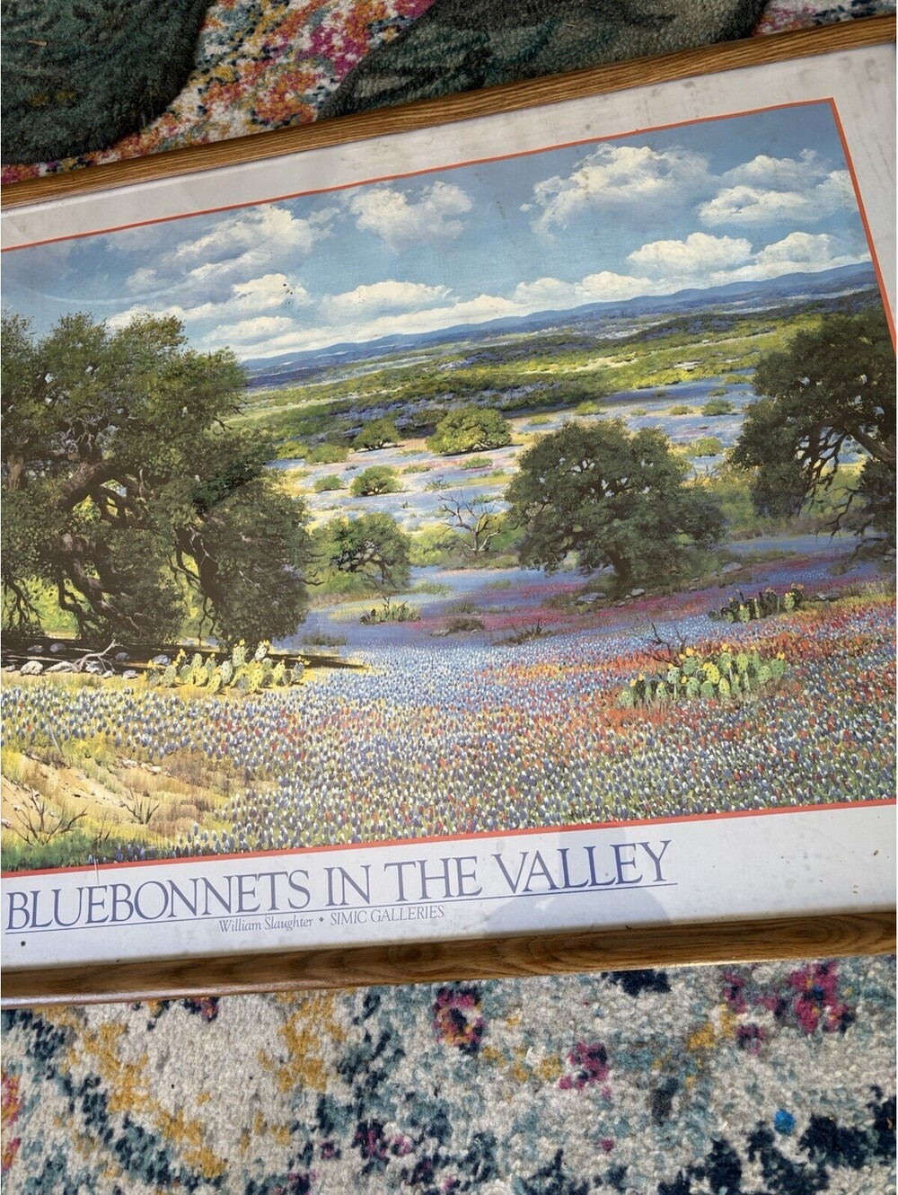 Bluebonnets in the Valley by William Slaughter Framed Print